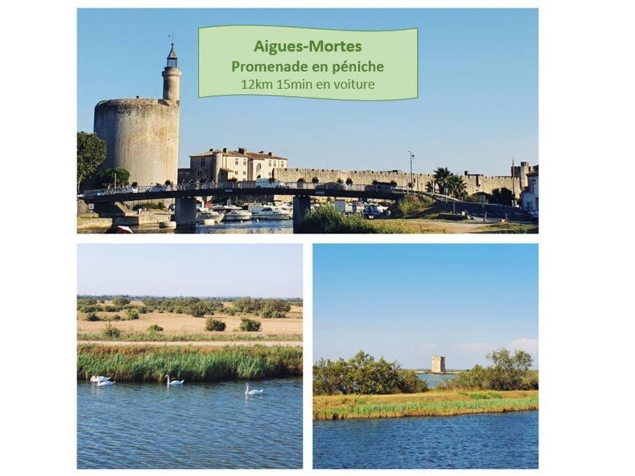 Suite Maya Parking Clim Wifi Centre-Ville Et Port - Rossiconciergerie - Linge Inclus La Grande Motte Exterior photo